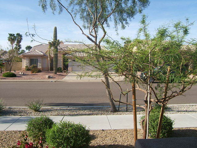 3713 East Utopia Road Phoenix, AZ 85050 - Photo 3 of 20 Front view from porch