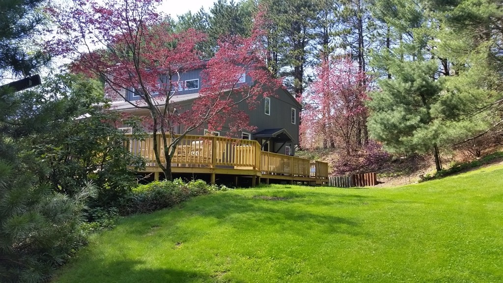 10 Ramshorn Road Sutton, MA 01590 - Photo 18 of 24 a view of a park with large trees