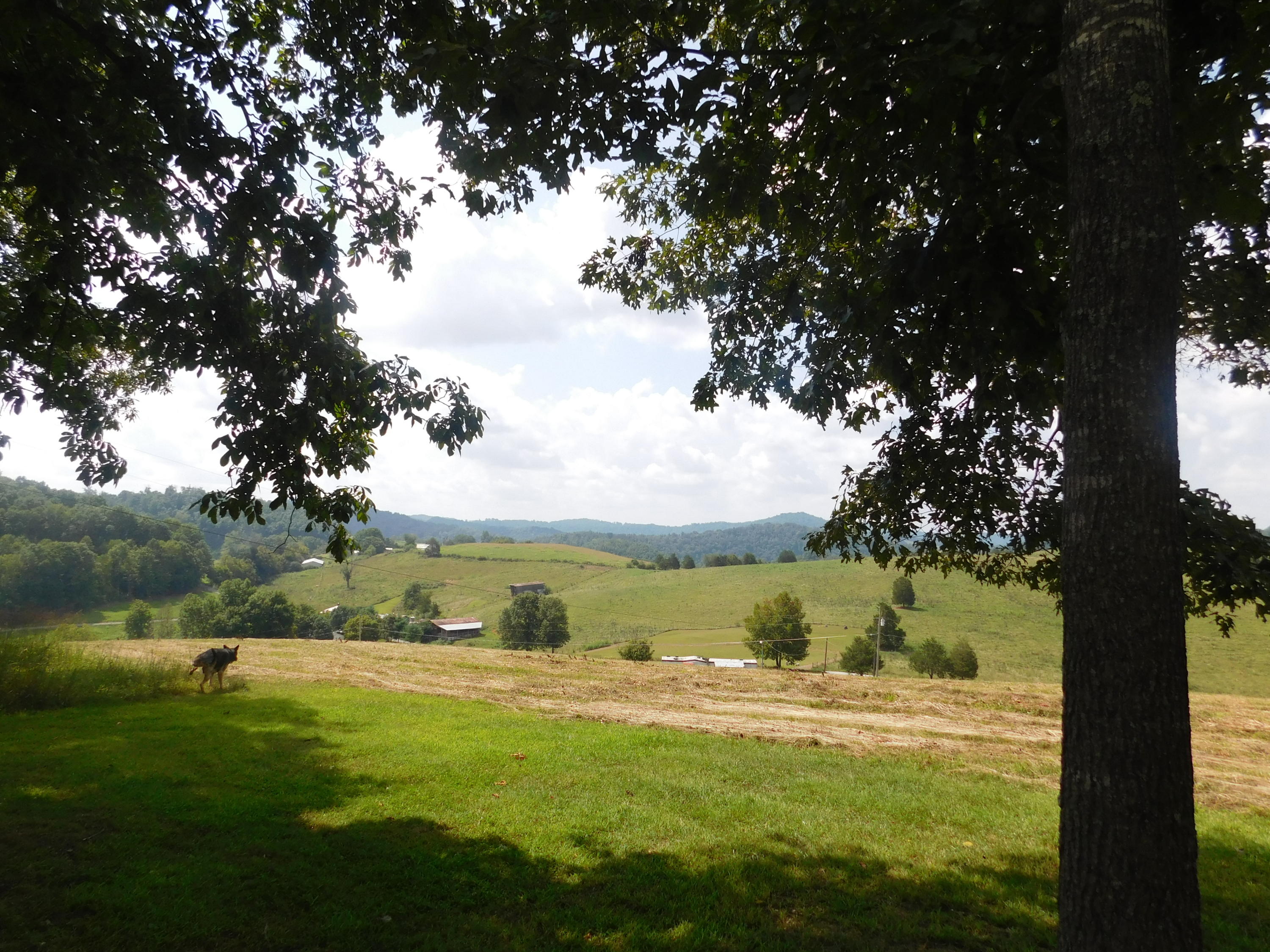 883 Harbor Road Tazewell, TN 37879 - Photo 11 of 36 DSCN3961