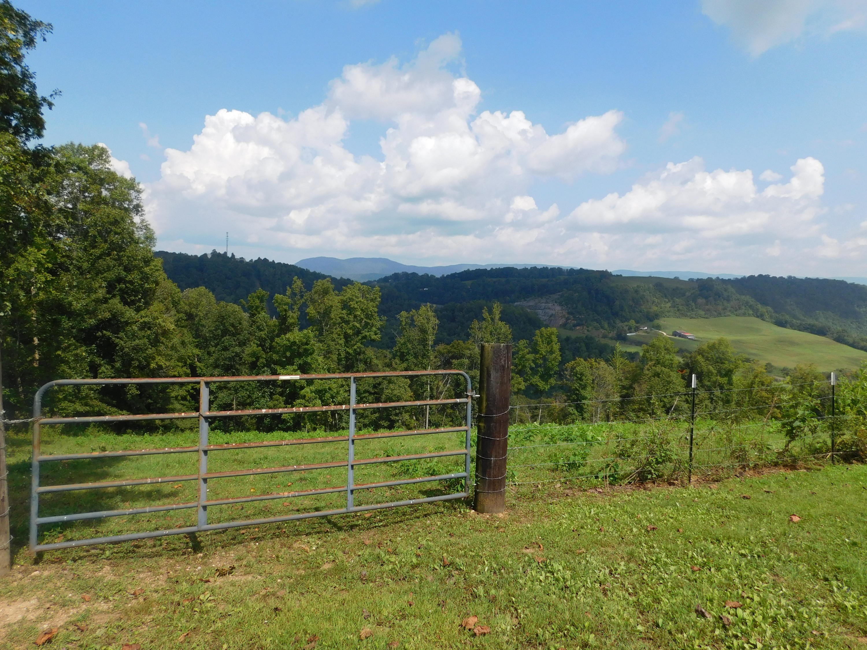 883 Harbor Road Tazewell, TN 37879 - Photo 14 of 36 DSCN3965