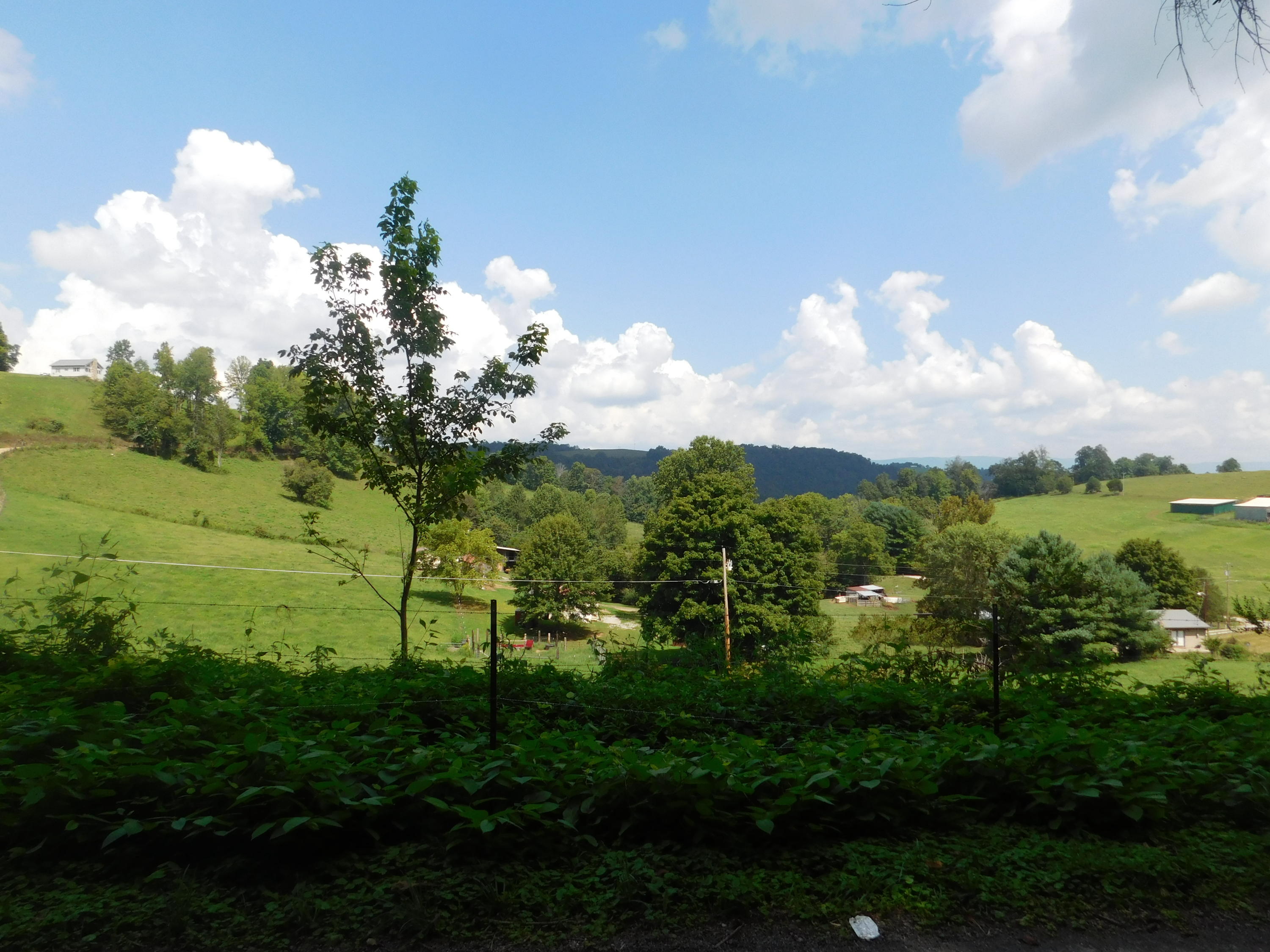 883 Harbor Road Tazewell, TN 37879 - Photo 19 of 36 DSCN3980
