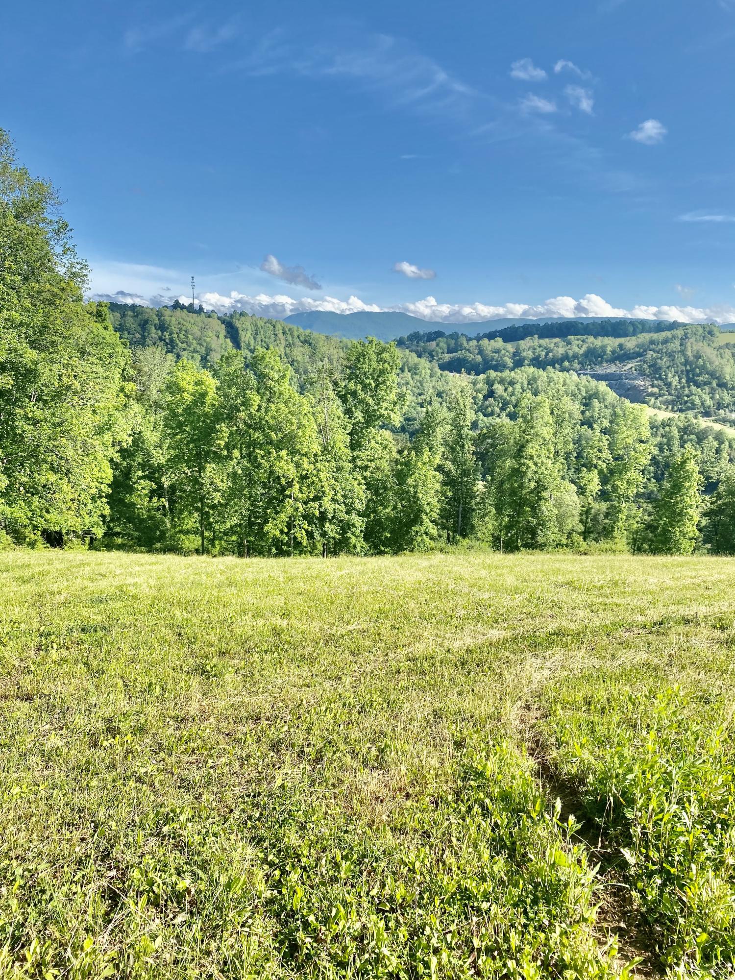 883 Harbor Road Tazewell, TN 37879 - Photo 7 of 36 86DF961F-D798-452B-9399-F32FF493CF1B