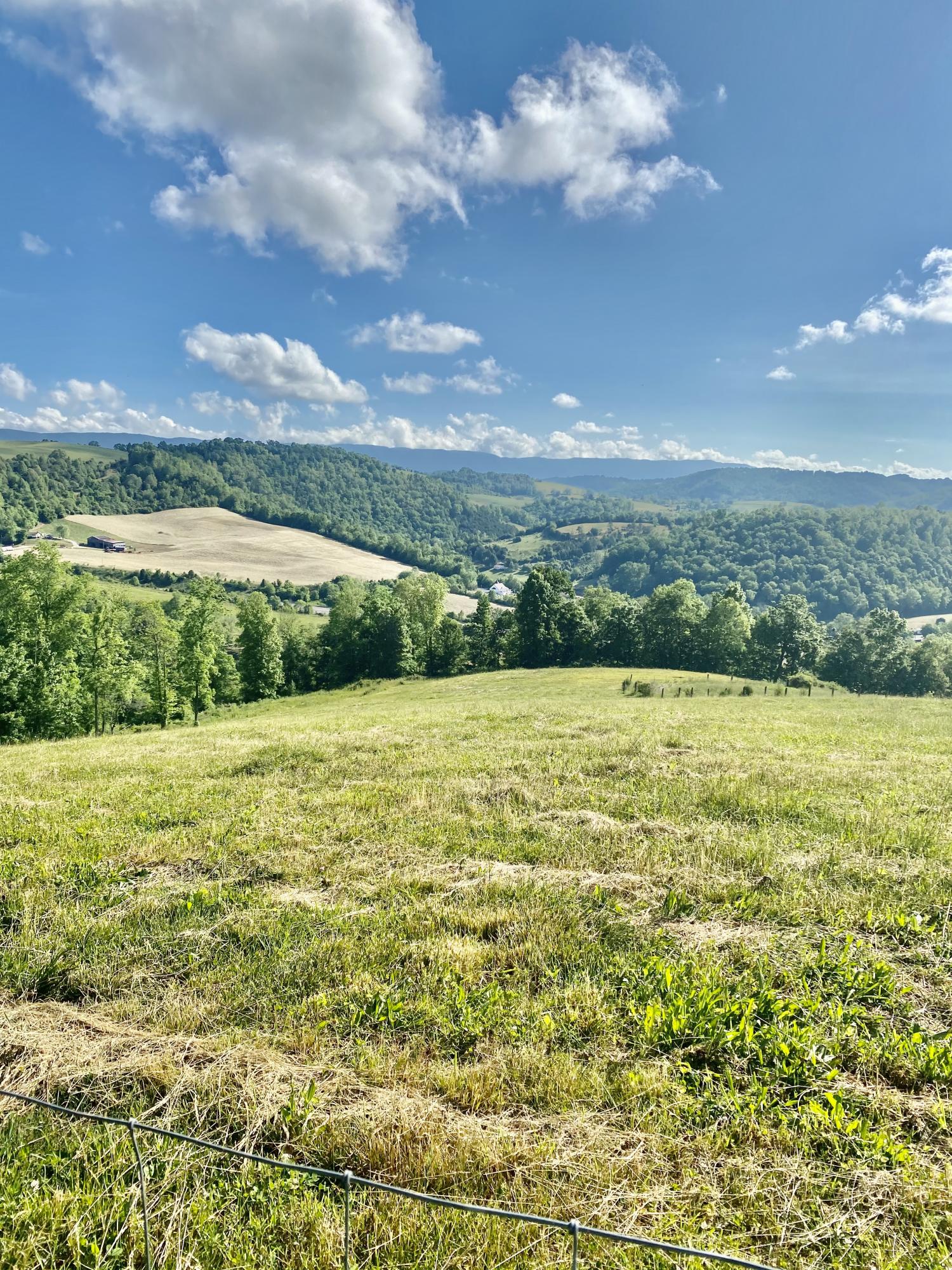 883 Harbor Road Tazewell, TN 37879 - Photo 8 of 36 8D686CA1-CB94-4F25-9D87-86265AD08302