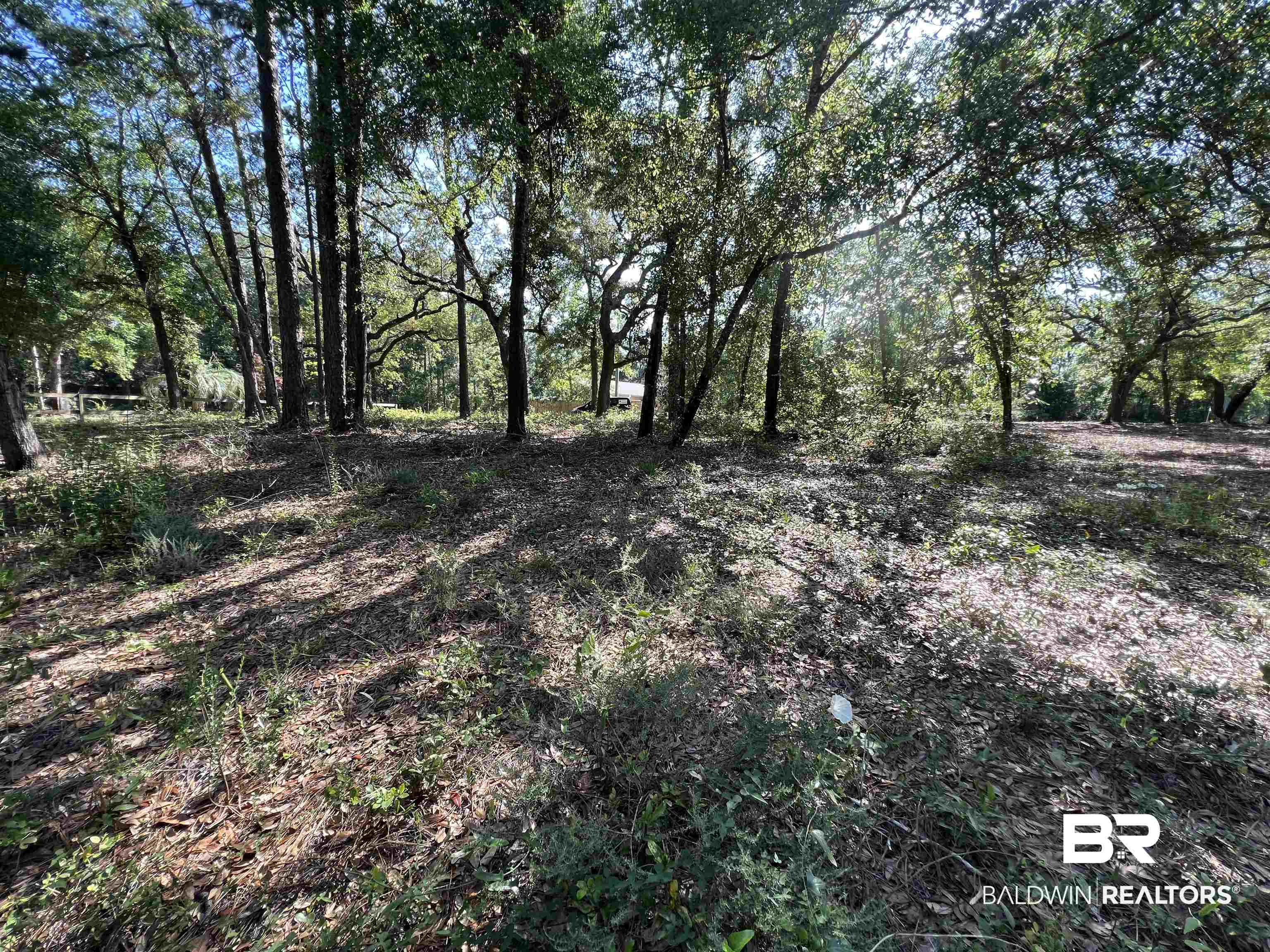 9545 North Bayou Road Lillian, AL 36549 - Photo 14 of 34 View of nature