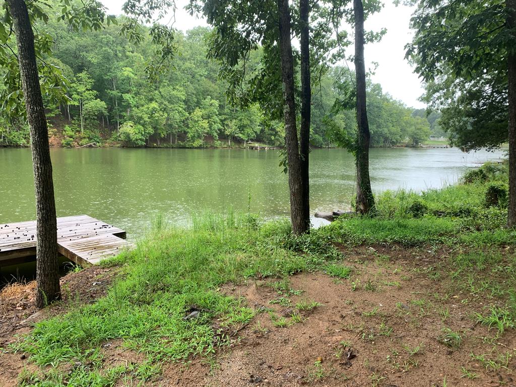 0 Wiles Road Abbeville, SC 29620 - Photo 1 of 1 Main View