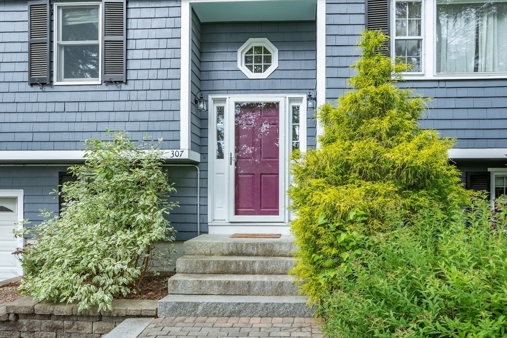 307 Tahattawan Road Littleton, MA 01460 - Photo 3 of 42 Gallery Image 3