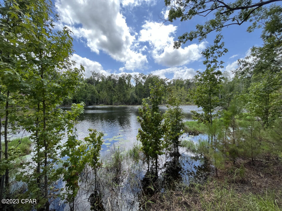 1998 Woodland Road Cottondale, FL 32431 - Photo 31 of 39 Gallery Image 31