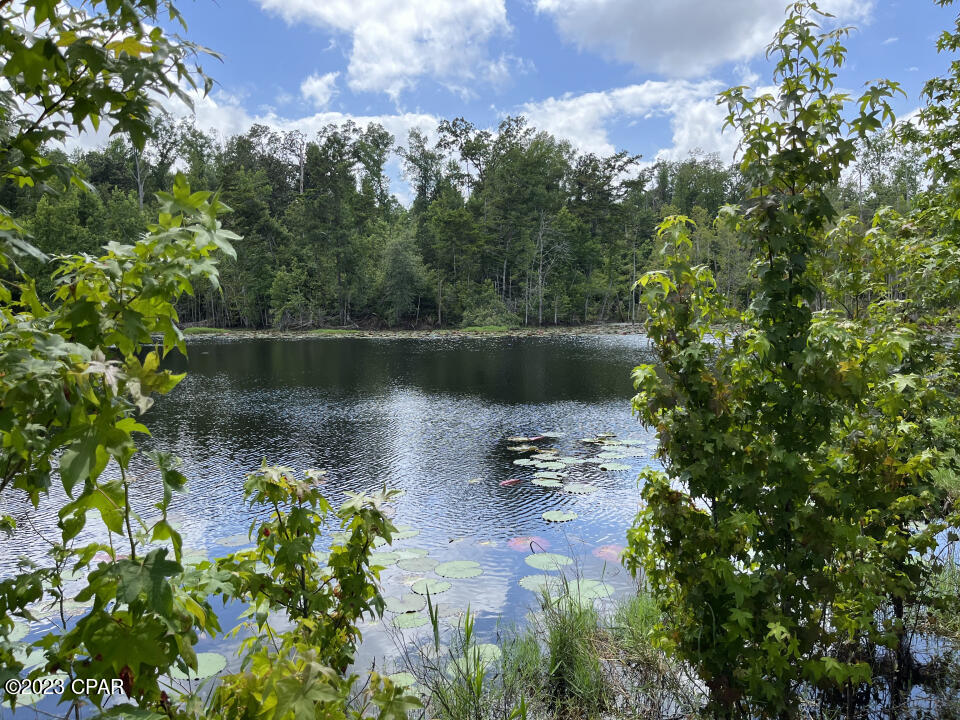 1998 Woodland Road Cottondale, FL 32431 - Photo 32 of 39 Gallery Image 32