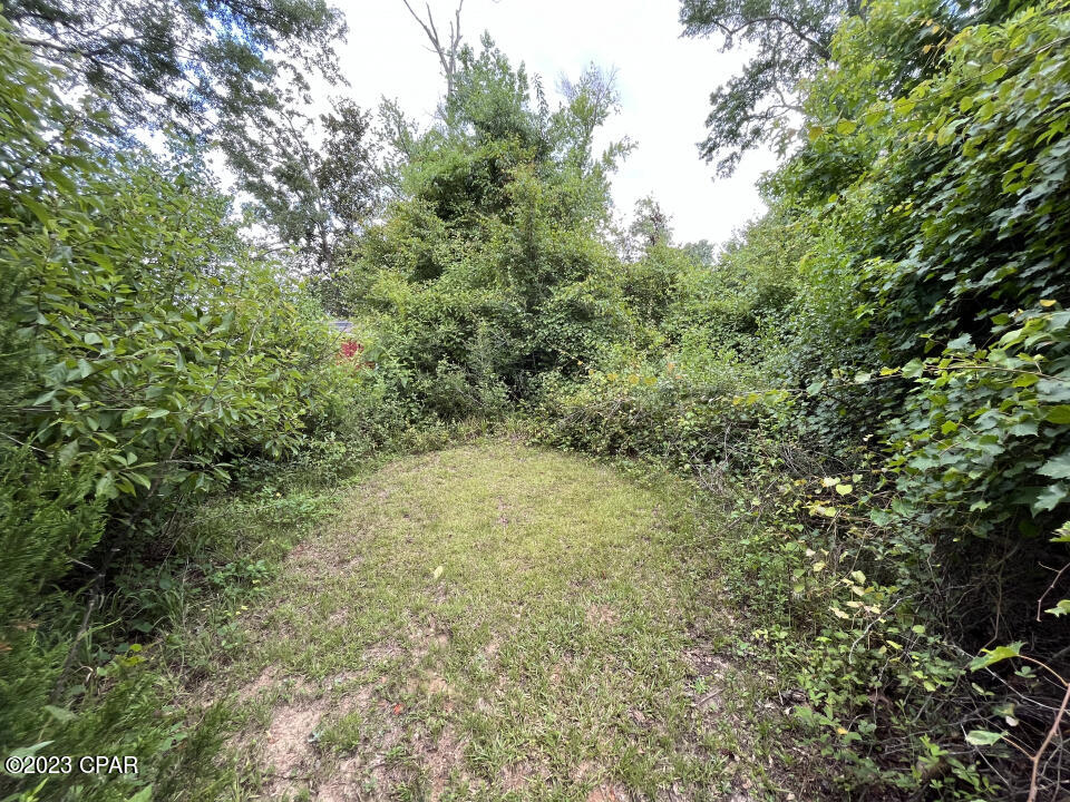 1998 Woodland Road Cottondale, FL 32431 - Photo 37 of 39 Gallery Image 37