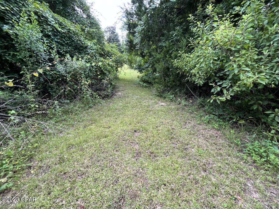 1998 Woodland Road Cottondale, FL 32431 - Photo 39 of 39 Gallery Image 39