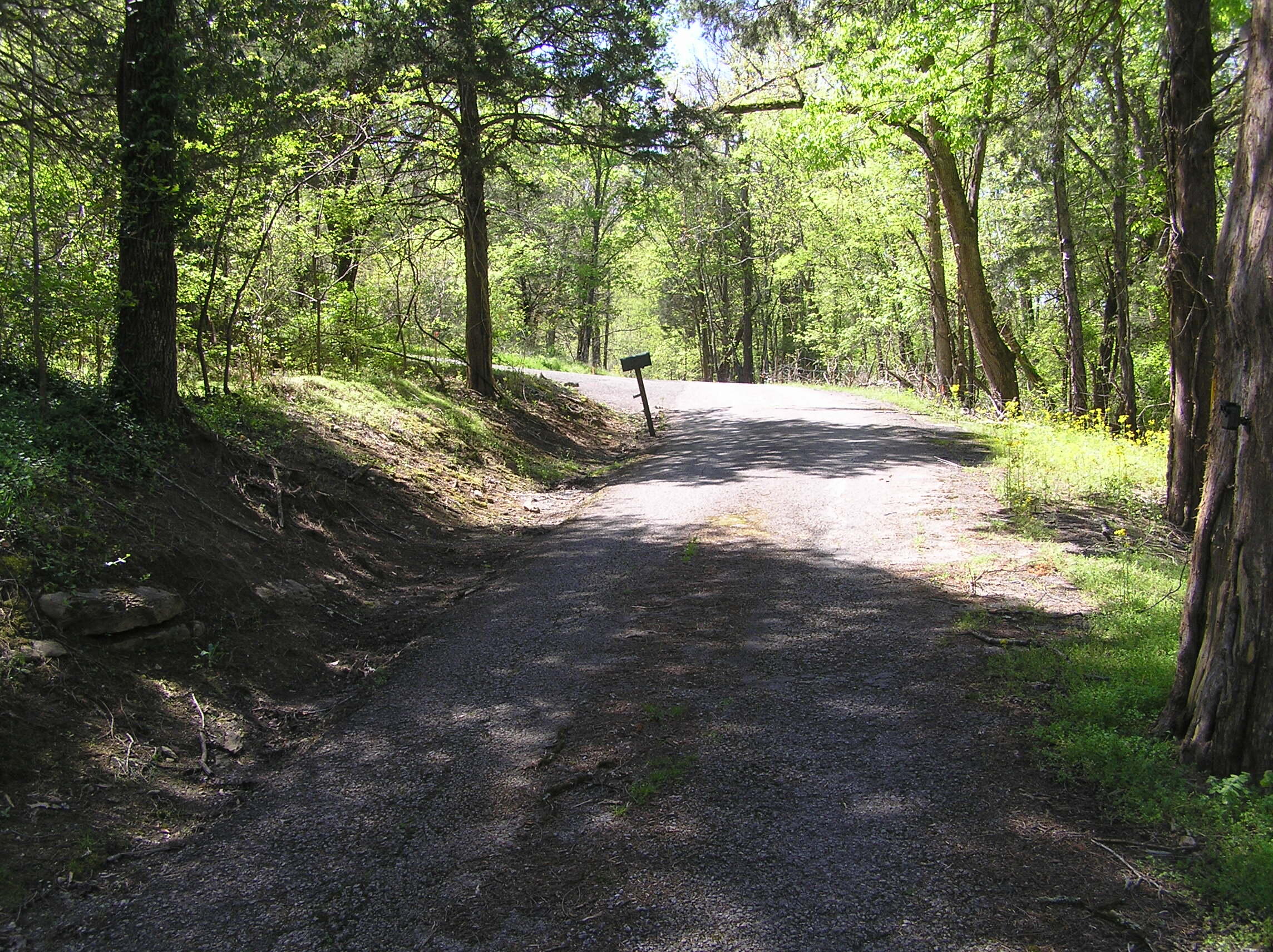 0 Graham Road, Unit 40 AC Dunlap, TN 37327 - Photo 3 of 6 g 010