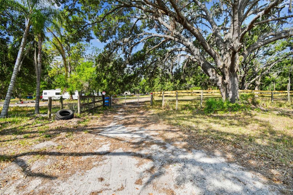 2853 Saffold Road Wimauma, FL 33598 - Photo 20 of 62 a view of yard with tree