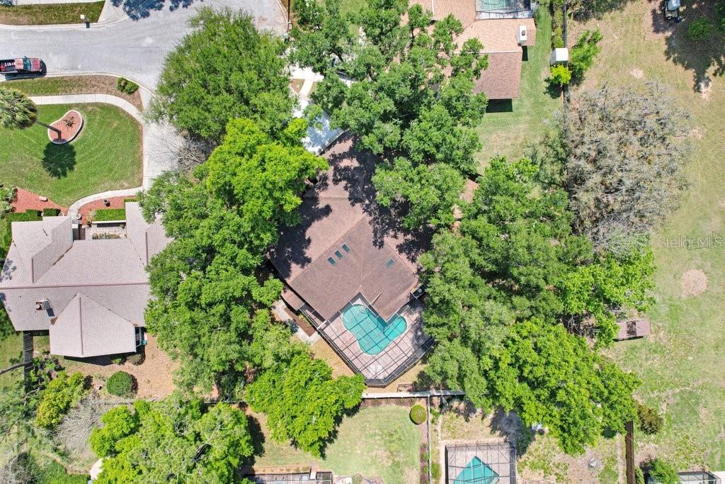 504 Triple Crown Court Seffner, FL 33584 - Photo 12 of 63 an aerial view of a house with a yard and garden