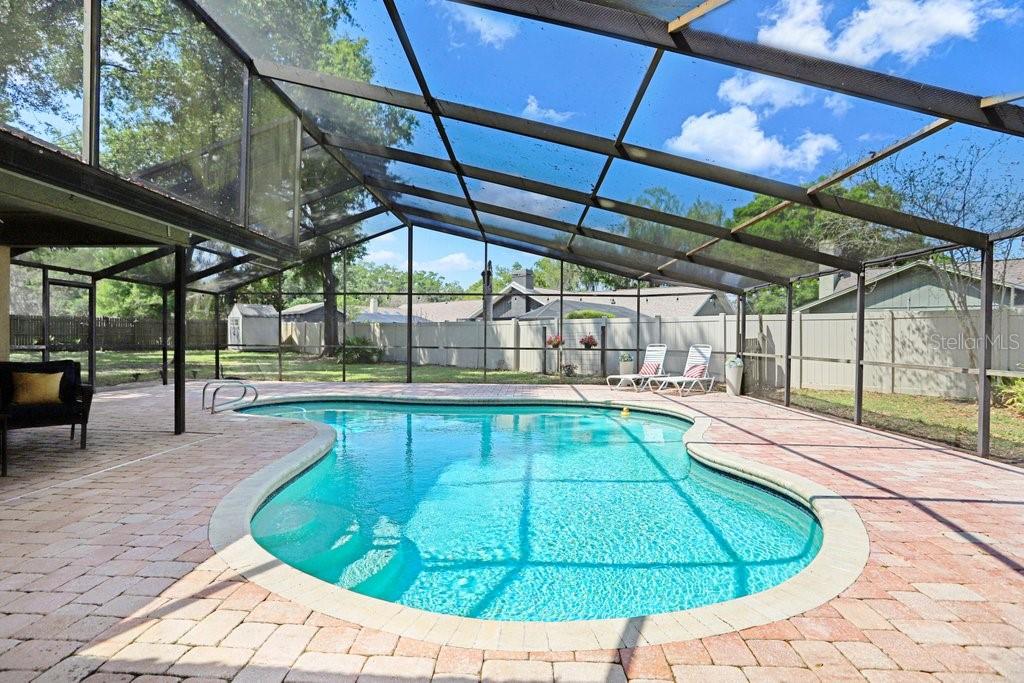504 Triple Crown Court Seffner, FL 33584 - Photo 2 of 63 a view of a swimming pool with a patio