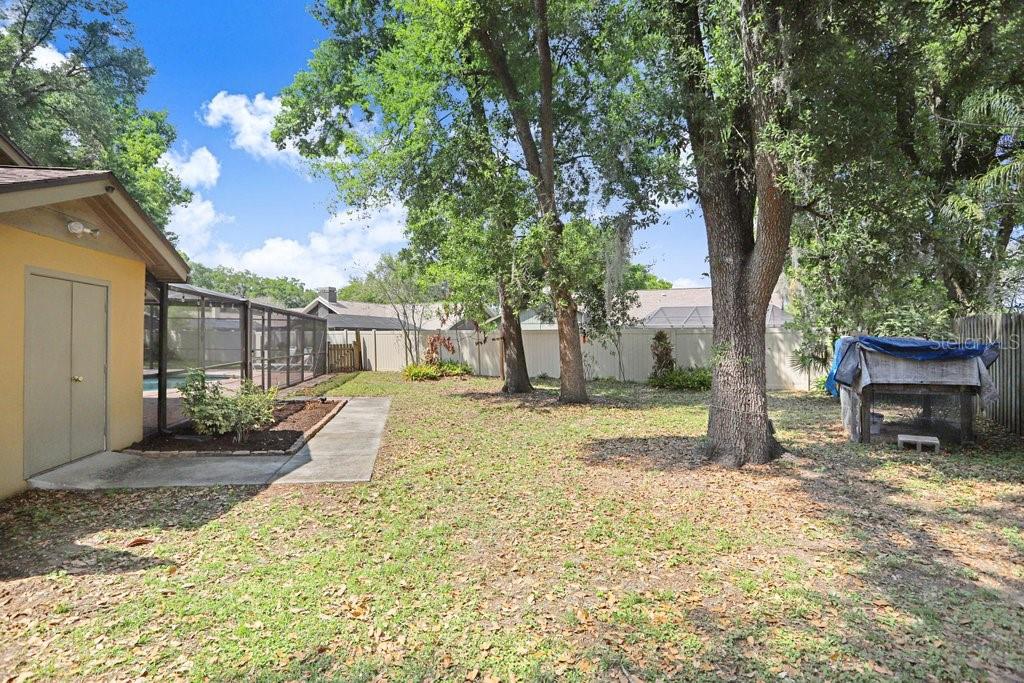 504 Triple Crown Court Seffner, FL 33584 - Photo 47 of 63 a view of a house with backyard and a tree