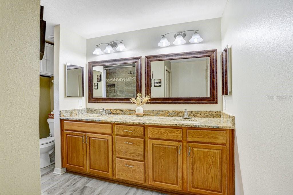 504 Triple Crown Court Seffner, FL 33584 - Photo 50 of 63 a bathroom with a granite countertop sink and a mirror