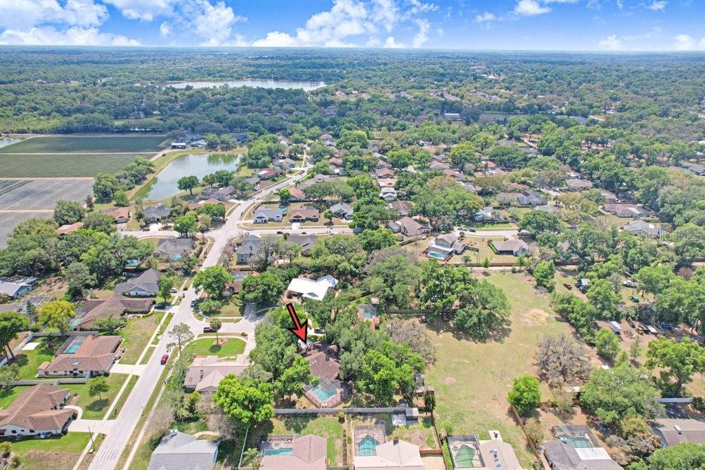 504 Triple Crown Court Seffner, FL 33584 - Photo 57 of 63 a view of city and ocean