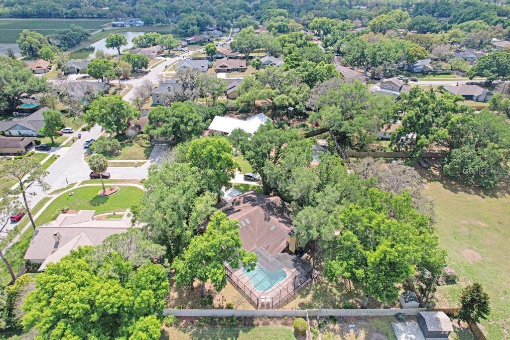 504 Triple Crown Court Seffner, FL 33584 - Photo 58 of 63