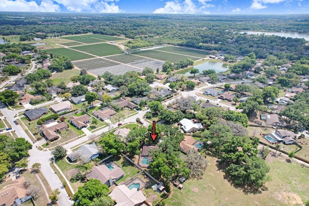 504 Triple Crown Court Seffner, FL 33584 - Photo 59 of 63 an aerial view of a city