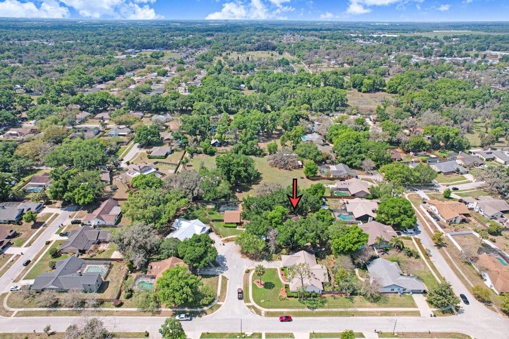 504 Triple Crown Court Seffner, FL 33584 - Photo 61 of 63