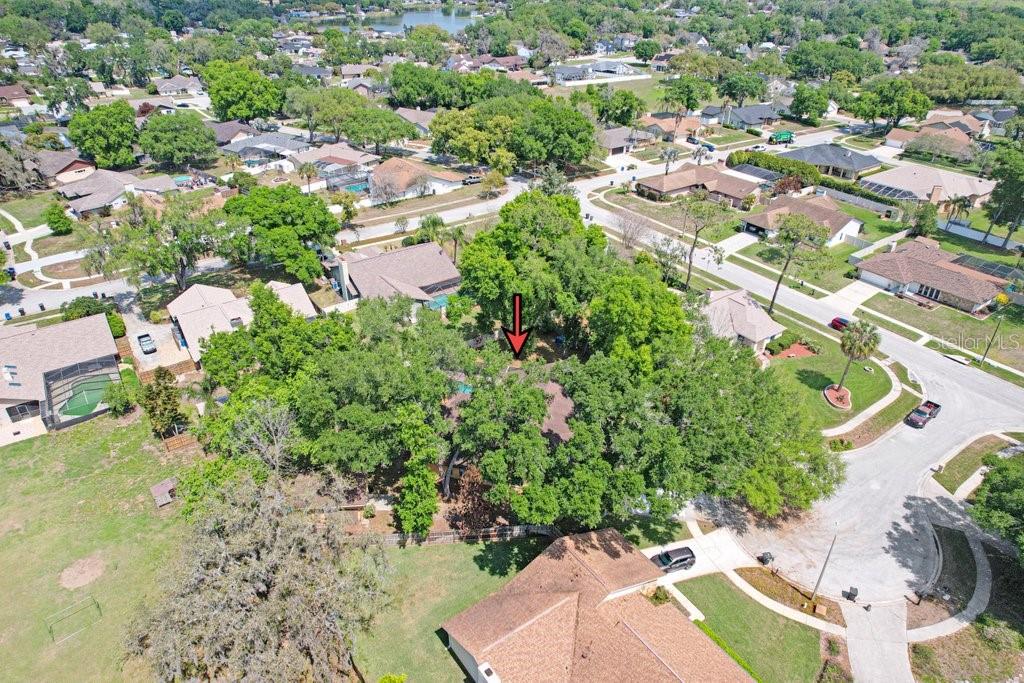 504 Triple Crown Court Seffner, FL 33584 - Photo 62 of 63 an aerial view of residential houses with outdoor space
