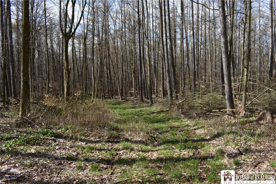 2780 Buffalo Road Varysburg, NY 14167 - Photo 47 of 50