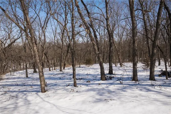 $575,000 | 1275 Southwest 125th Road, Holden, MO 64040