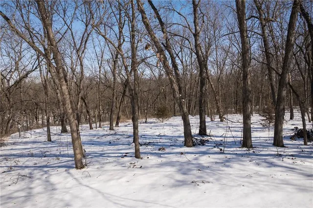 $575,000 | 1275 Southwest 125th Road, Holden, MO 64040