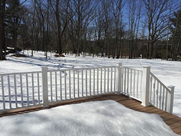 348 River Road, Unit A2 Andover, MA 01810 - Photo 8 of 8 a view of backyard with a trees