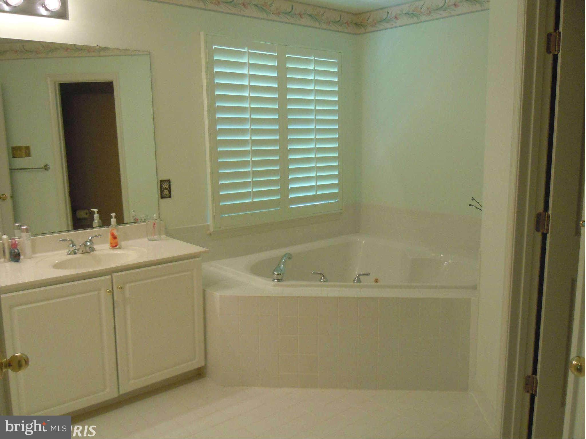 6563 Guilford Road Clarksville, MD 21029 - Photo 22 of 30 Bath (Master)