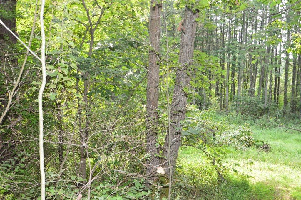 3561 Trapp-Goffs Cor Road Winchester, KY 40391 - Photo 36 of 47 Photo 36