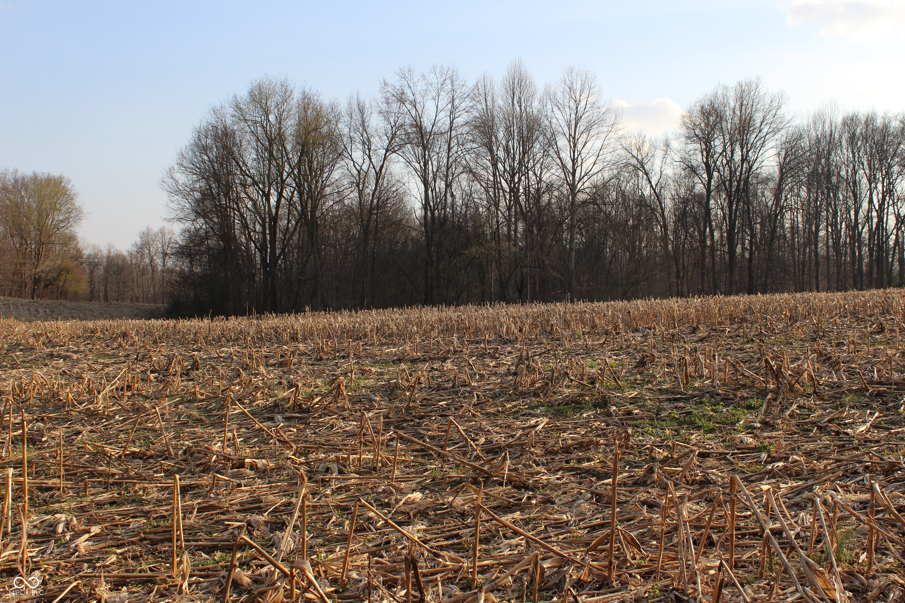 400 West Rural Plat Greencastle, IN 46135 - Photo 2 of 2