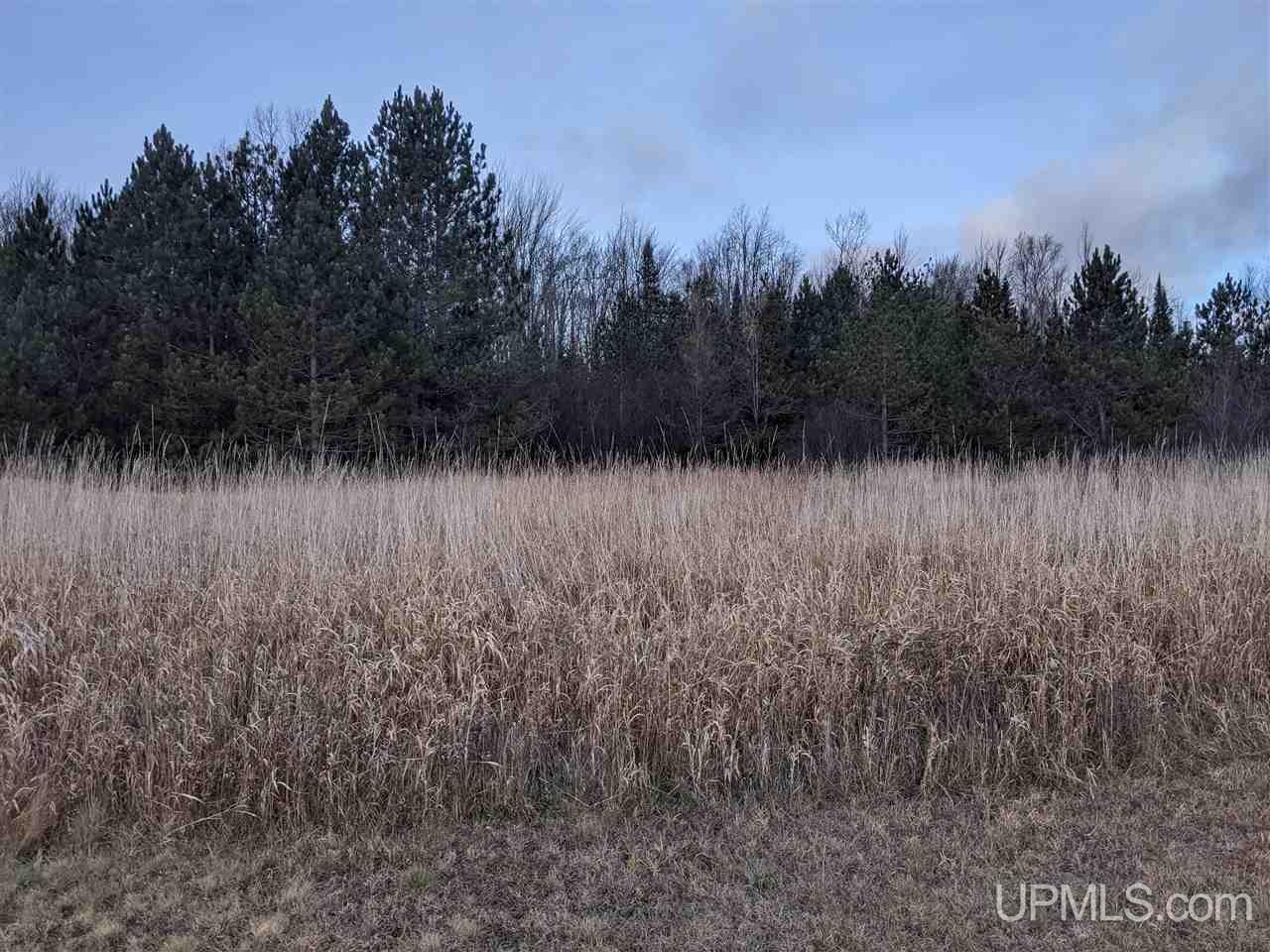 11851 Co Road Cornell, MI 49818 - Photo 25 of 49