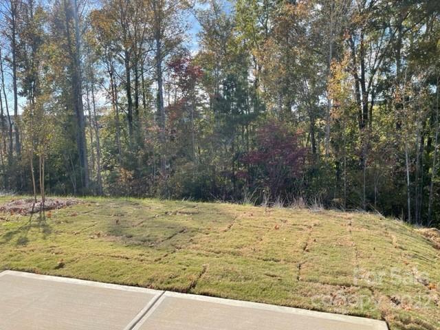 6525 Gopher Road, Unit 361 Lancaster, SC 29720 - Photo 12 of 26 a view of a yard with trees