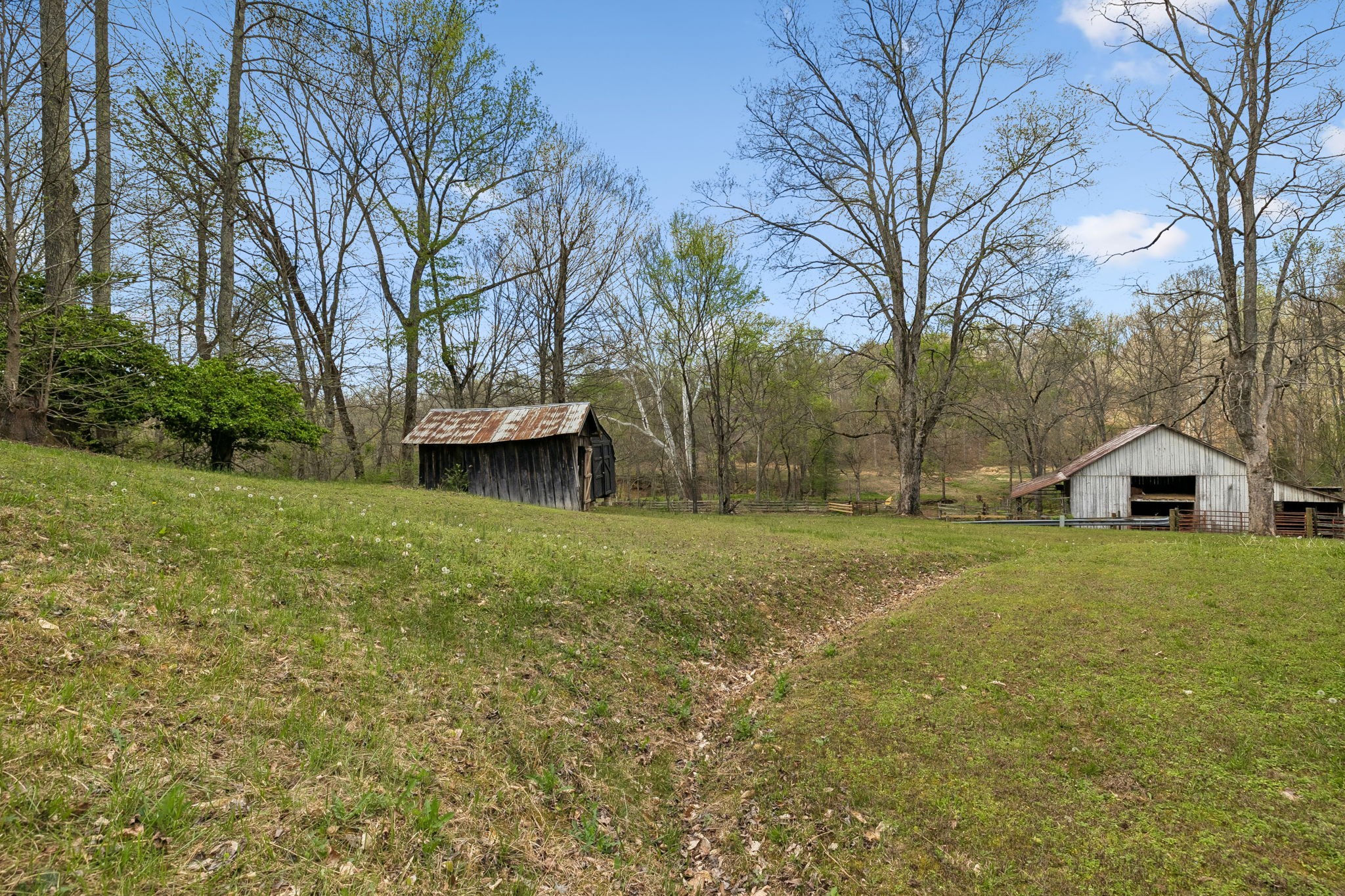 805 Harris Road Dickson, TN 37055 - Photo 44 of 46