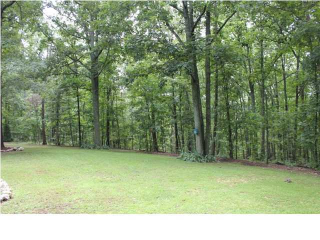 12847 Wesley Ridge Lane Apison, TN 37311 - Photo 26 of 27 Additional Photo