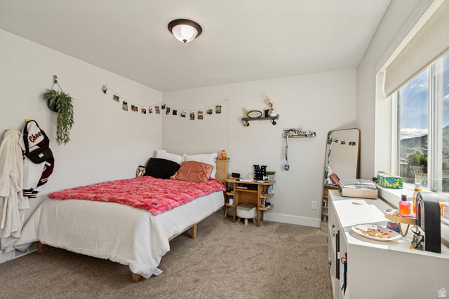 2285 West Sunrise Ranch Drive Mapleton, UT 84664 - Photo 28 of 48