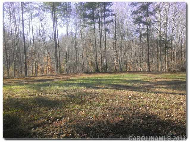 0 Windygap Road Charlotte, NC 28278 - Photo 5 of 6 Gallery Image 5