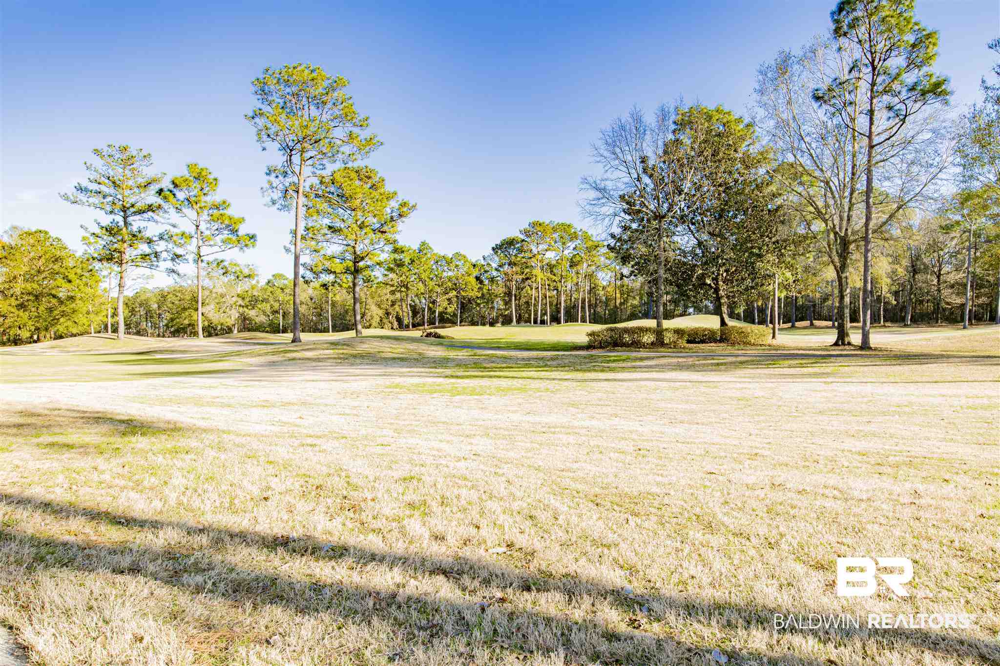30251 Dolive Ridge Daphne, AL 36527 - Photo 47 of 47