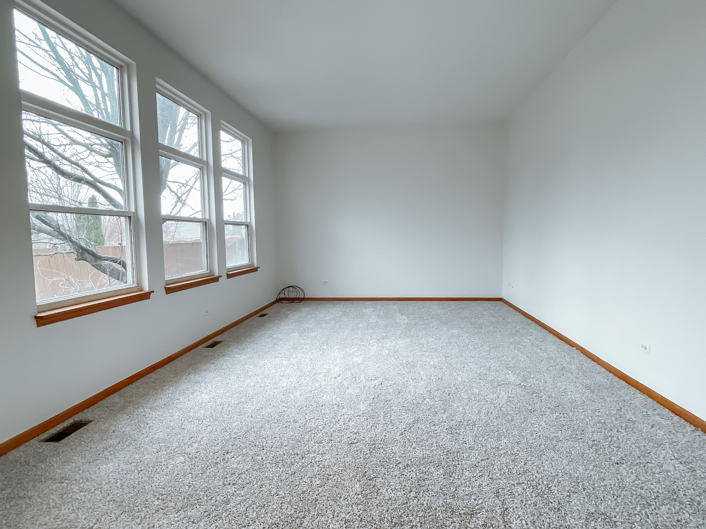 2010 Havenhill Drive Plainfield, IL 60586 - Photo 14 of 21