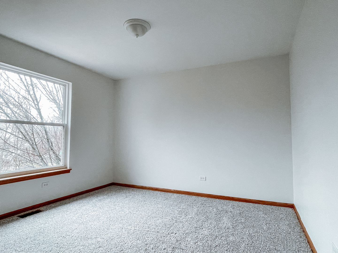 2010 Havenhill Drive Plainfield, IL 60586 - Photo 18 of 21