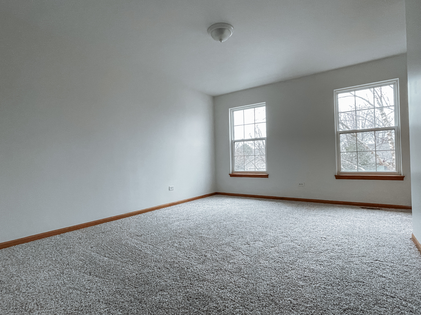 2010 Havenhill Drive Plainfield, IL 60586 - Photo 21 of 21