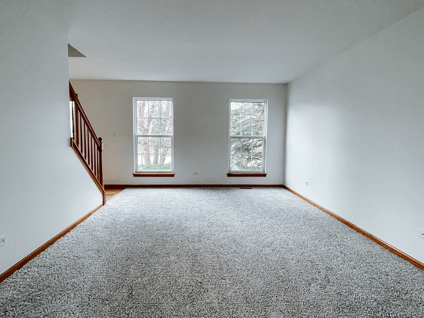 2010 Havenhill Drive Plainfield, IL 60586 - Photo 6 of 21