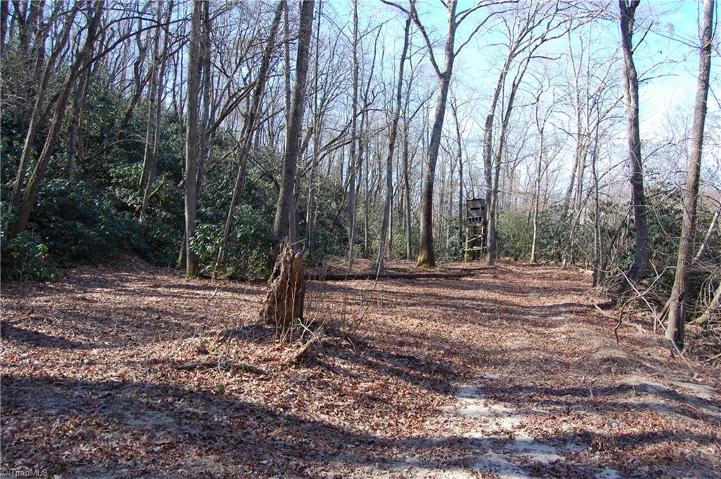 2986 Mining Ridge Church Road State Road, NC 28676 - Photo 4 of 27 Gallery Image 4