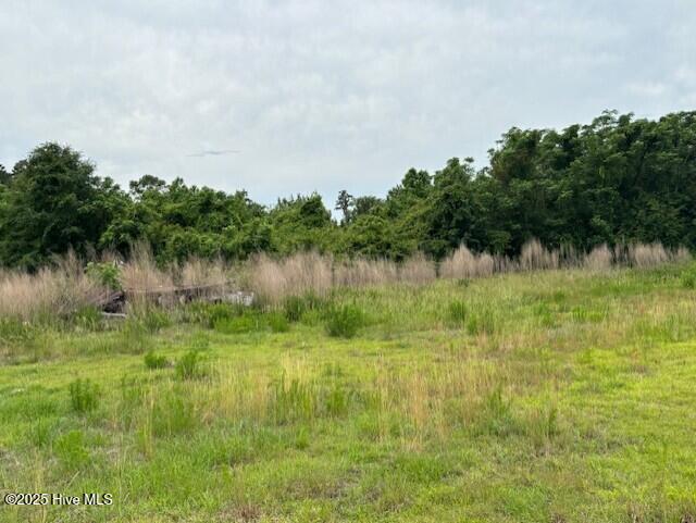 425 Biddle Road Dover, NC 28526 - Photo 34 of 52 thumbnail_IMG_0891