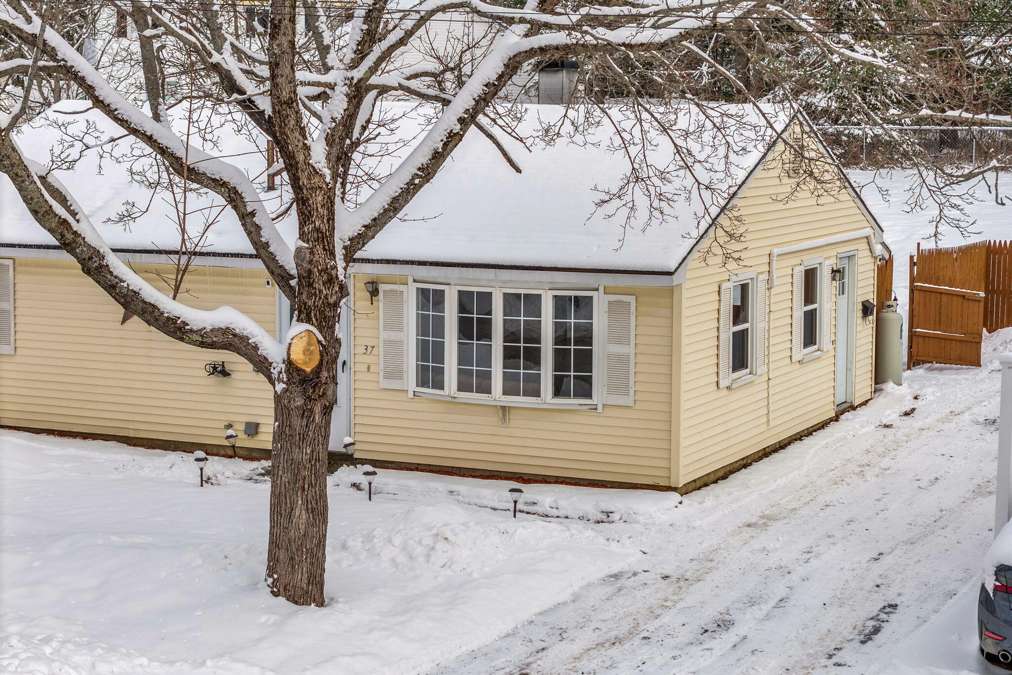 37 Jowett Street Bangor, ME 04401 - Photo 14 of 52 11-web-or-mls-37-jowett-st