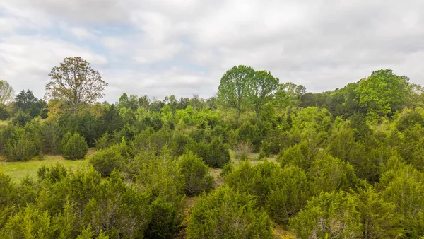 $39,900 | 8 Little Woods Road, Elizabeth, AR 72531