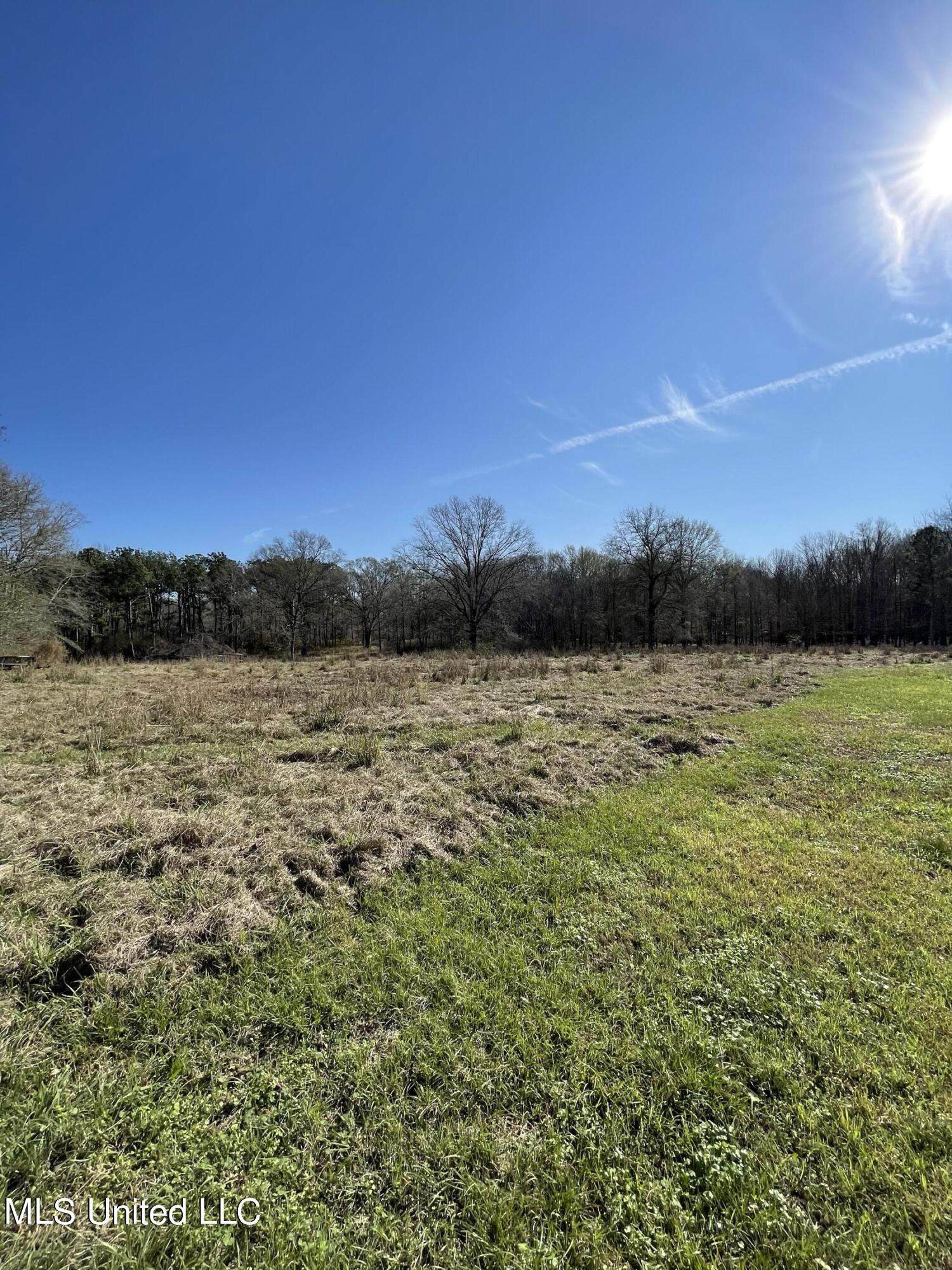 7847 Old Jackson Road Forest, MS 39074 - Photo 36 of 55 2F1DAEC1-920C-47C0-9B3E-CFEF81A3065A