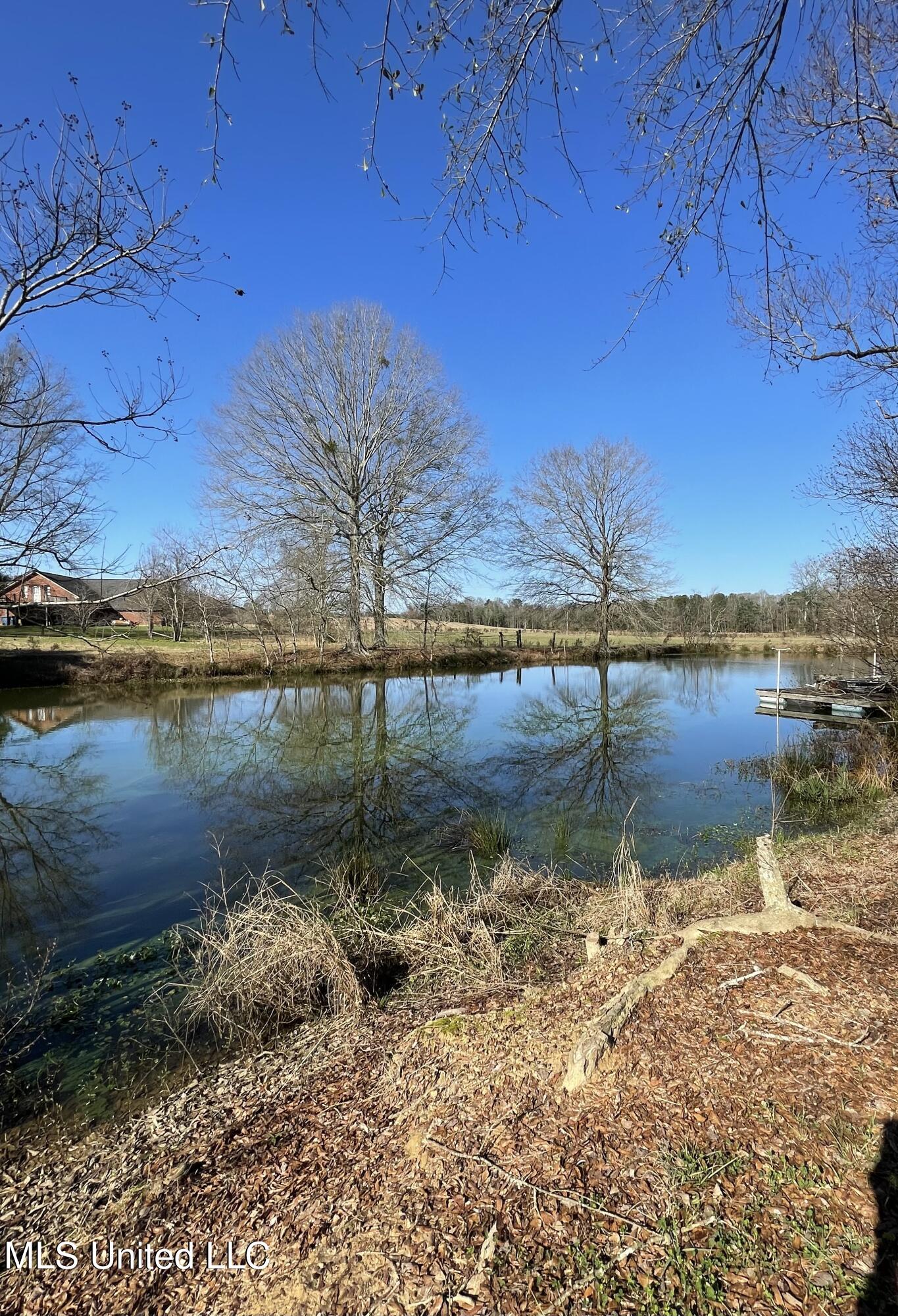 7847 Old Jackson Road Forest, MS 39074 - Photo 38 of 55 IMG_E4599