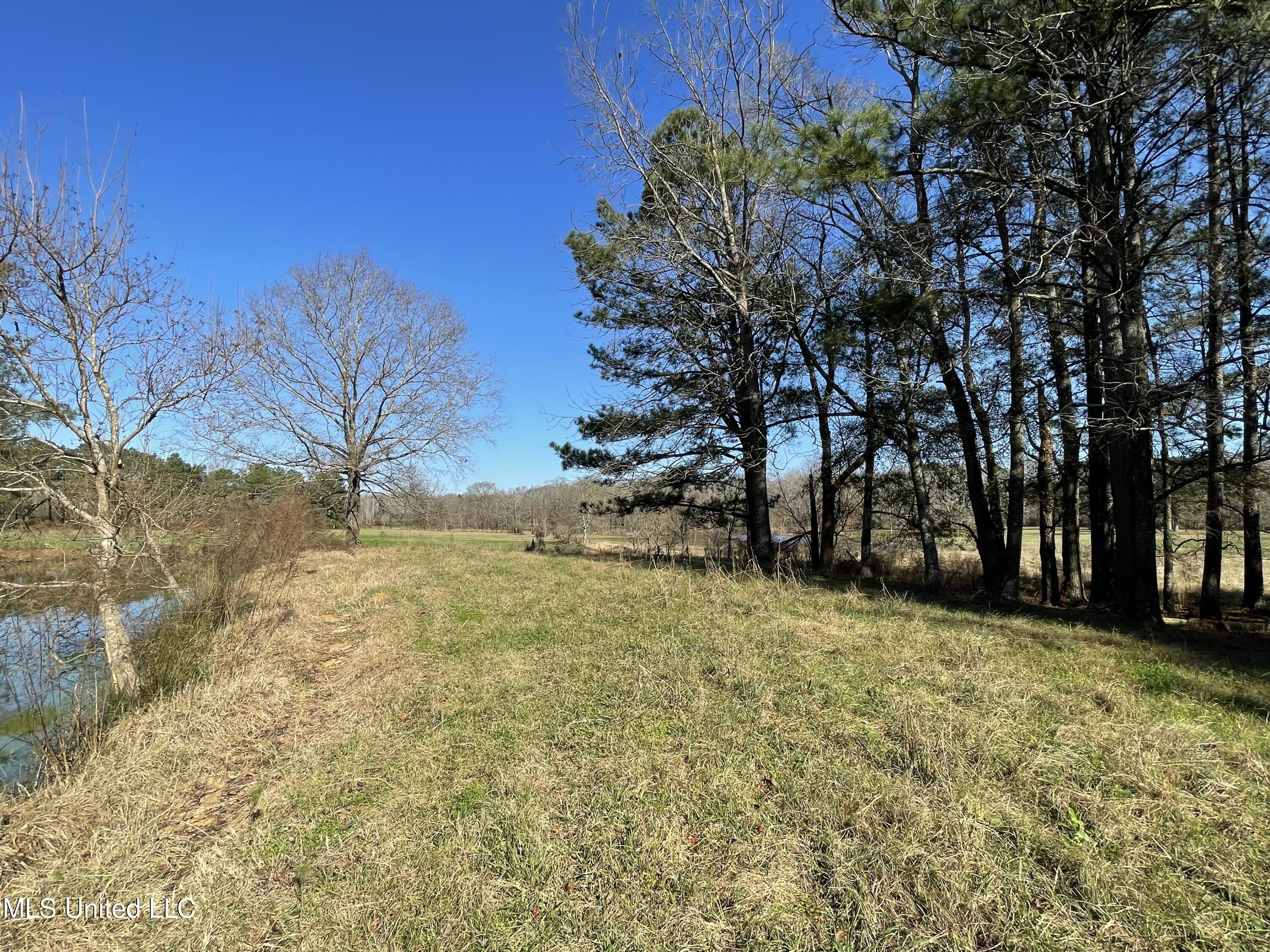 7847 Old Jackson Road Forest, MS 39074 - Photo 40 of 55 IMG_4592
